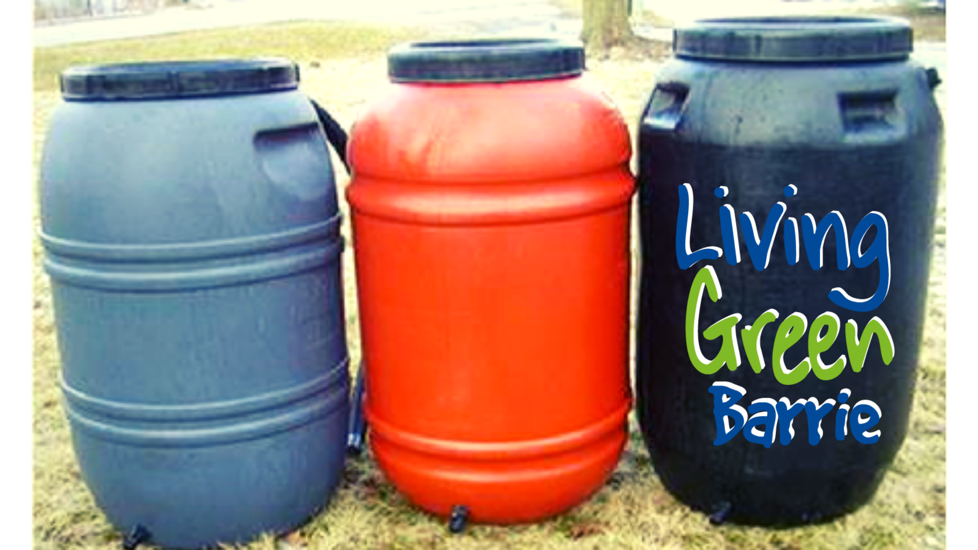Photo of three colourful rain barrels