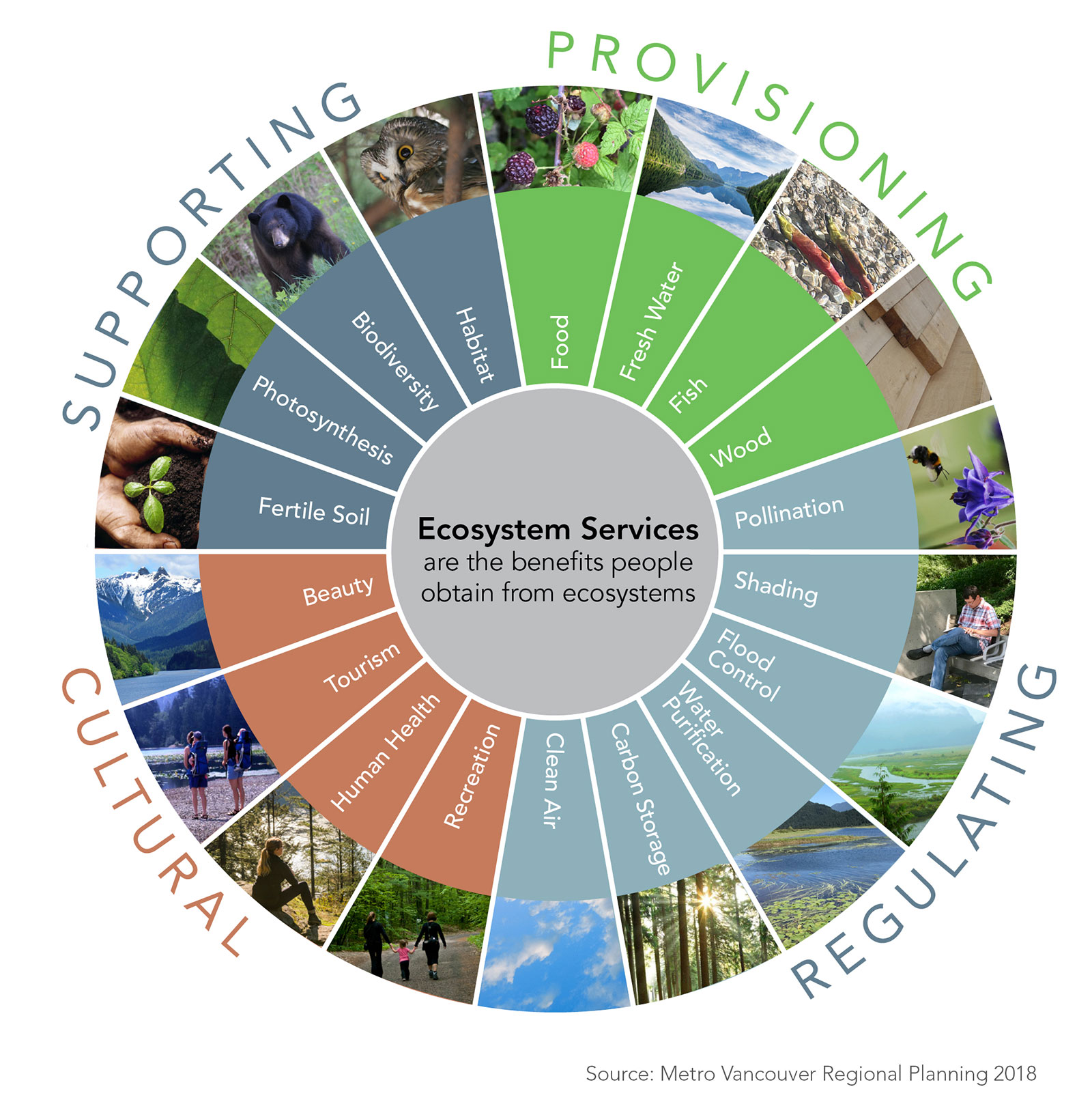 infographic-ecosystem-services-ap-environmental-science