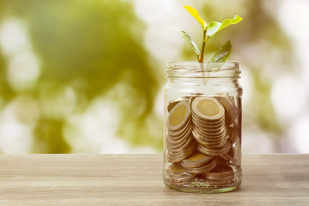 Plant growing on coins in jar on table on green nature background