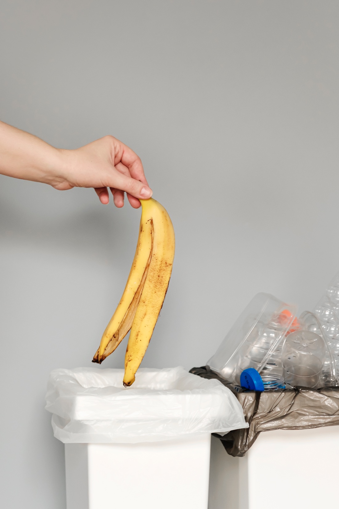 Simple Steps to reduce Food Waste this Summer Sustainable Orillia